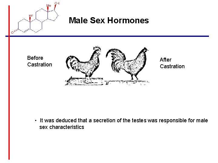 Male Sex Hormones Before Castration After Castration • It was deduced that a secretion