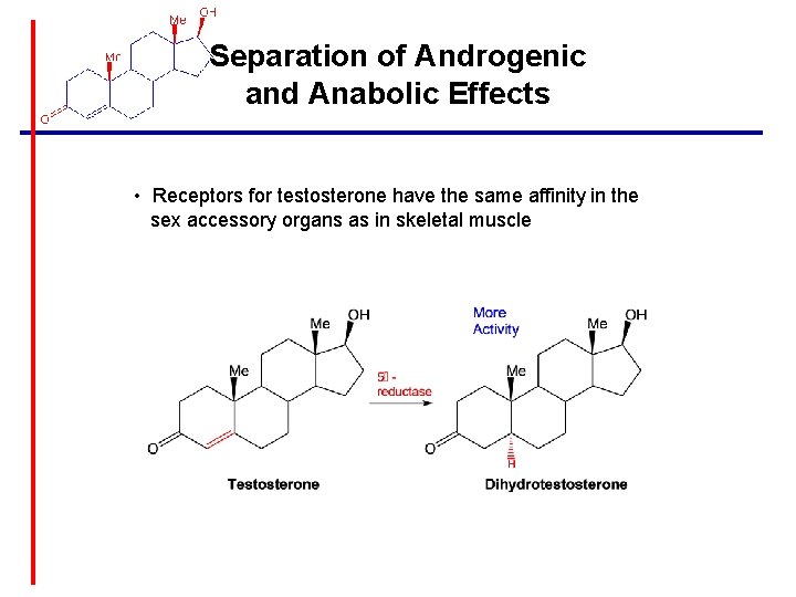 Separation of Androgenic and Anabolic Effects • Receptors for testosterone have the same affinity