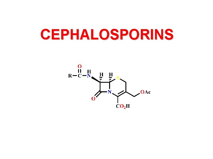 CEPHALOSPORINS 