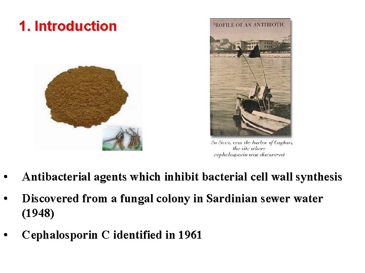 1. Introduction • Antibacterial agents which inhibit bacterial cell wall synthesis • Discovered from