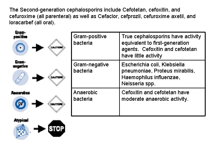 The Second-generation cephalosporins include Cefotetan, cefoxitin, and cefuroxime (all parenteral) as well as Cefaclor,