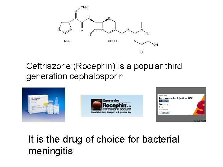 Ceftriazone (Rocephin) is a popular third generation cephalosporin It is the drug of choice
