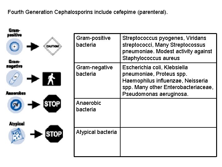 Fourth Generation Cephalosporins include cefepime (parenteral). Gram-positive bacteria Streptococcus pyogenes, Viridans streptococci, Many Streptocossus