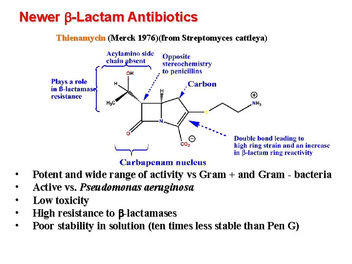 Newer b-Lactam Antibiotics Thienamycin (Merck 1976)(from Streptomyces cattleya) • • • Potent and wide