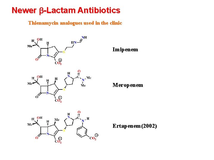 Newer b-Lactam Antibiotics Thienamycin analogues used in the clinic Imipenem Meropenem Ertapenem(2002) 