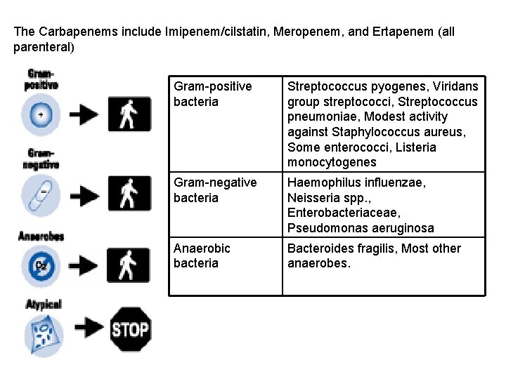 The Carbapenems include Imipenem/cilstatin, Meropenem, and Ertapenem (all parenteral) Gram-positive bacteria Streptococcus pyogenes, Viridans