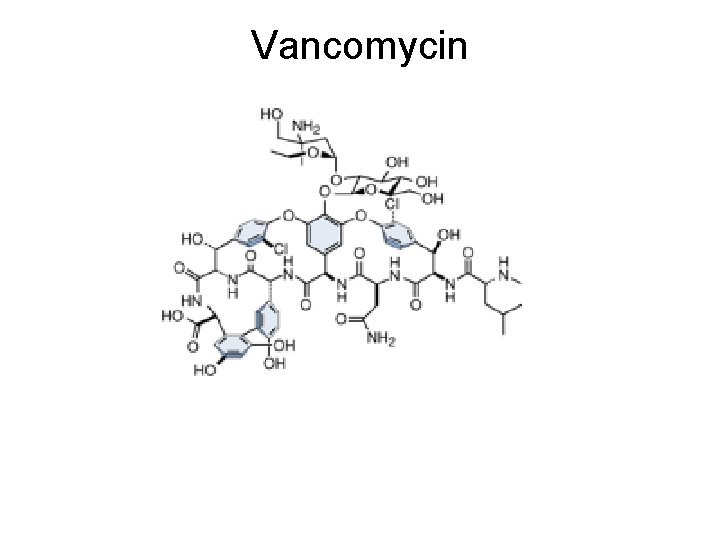 Vancomycin 