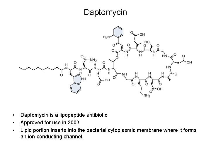 Daptomycin • • • Daptomycin is a lipopeptide antibiotic Approved for use in 2003
