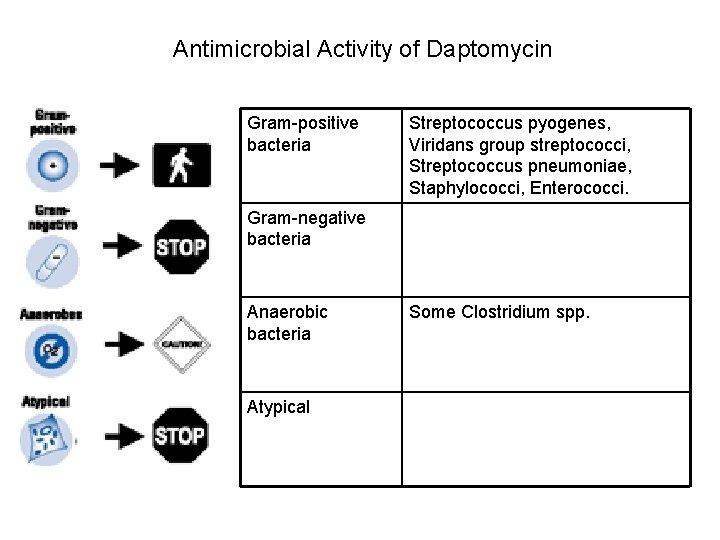 Antimicrobial Activity of Daptomycin Gram-positive bacteria Streptococcus pyogenes, Viridans group streptococci, Streptococcus pneumoniae, Staphylococci,