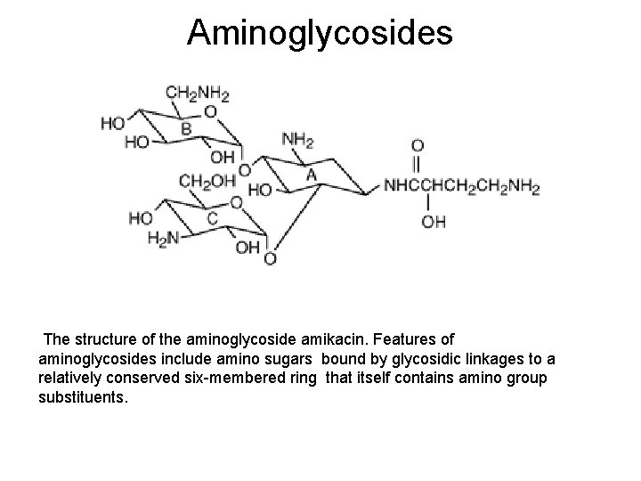 Aminoglycosides The structure of the aminoglycoside amikacin. Features of aminoglycosides include amino sugars bound