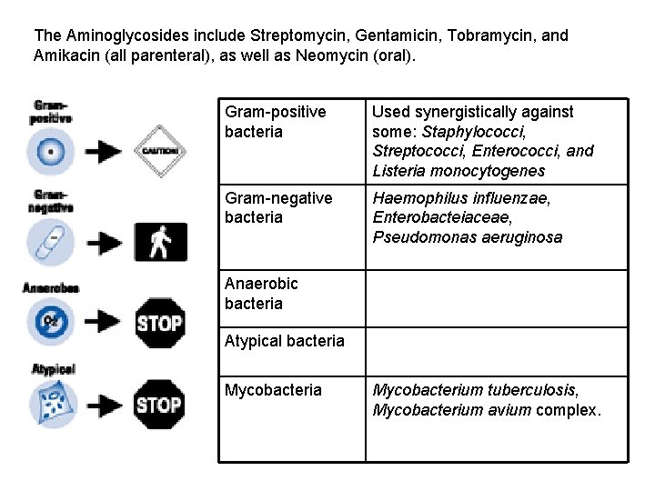 The Aminoglycosides include Streptomycin, Gentamicin, Tobramycin, and Amikacin (all parenteral), as well as Neomycin