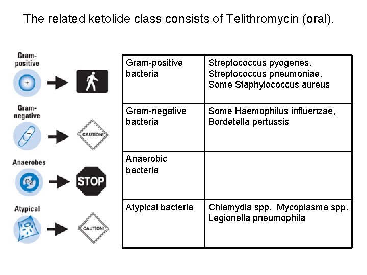 The related ketolide class consists of Telithromycin (oral). Gram-positive bacteria Streptococcus pyogenes, Streptococcus pneumoniae,