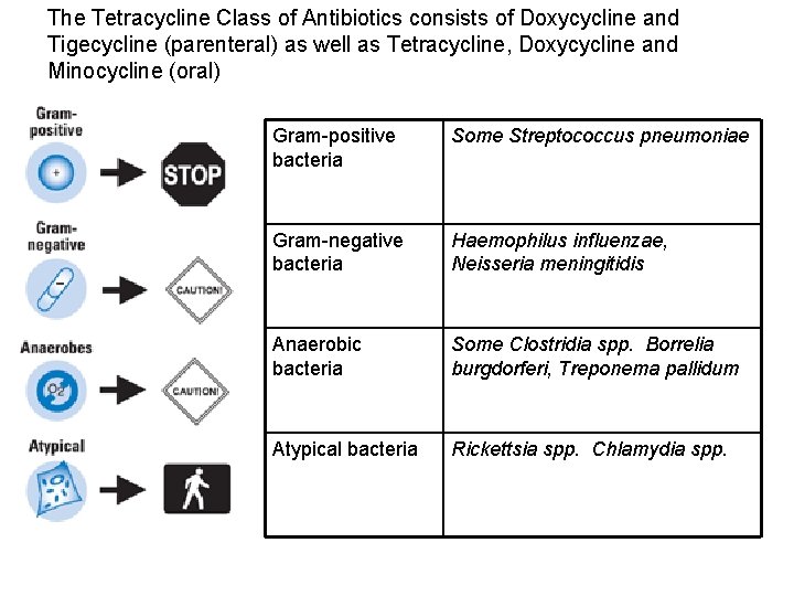 The Tetracycline Class of Antibiotics consists of Doxycycline and Tigecycline (parenteral) as well as
