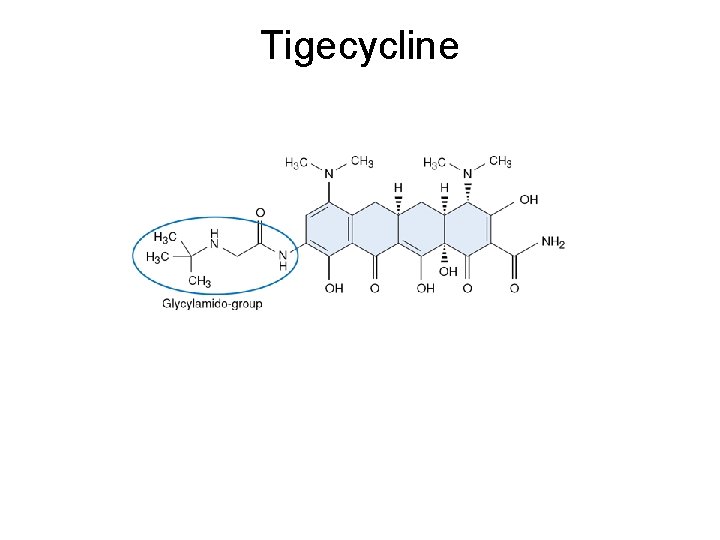 Tigecycline 