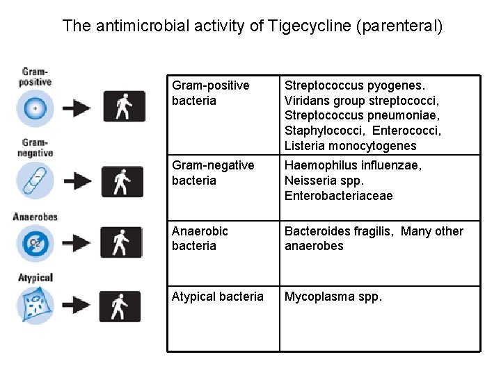 The antimicrobial activity of Tigecycline (parenteral) Gram-positive bacteria Streptococcus pyogenes. Viridans group streptococci, Streptococcus