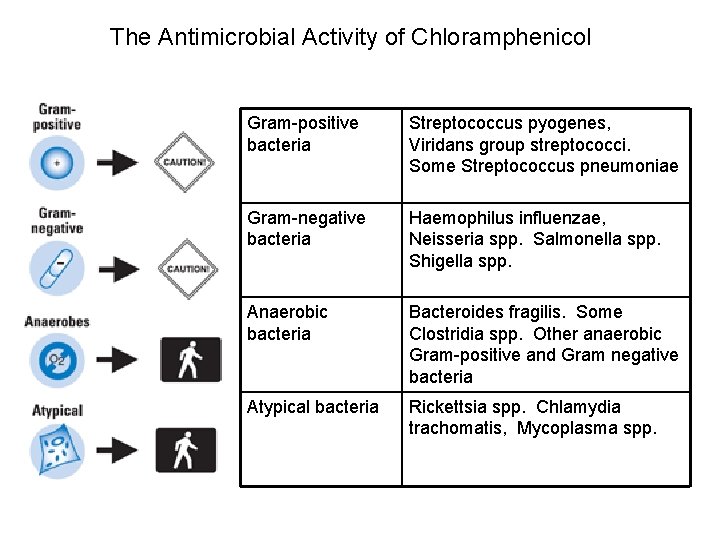 The Antimicrobial Activity of Chloramphenicol Gram-positive bacteria Streptococcus pyogenes, Viridans group streptococci. Some Streptococcus
