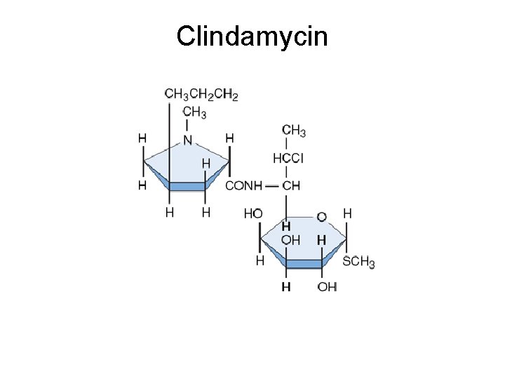 Clindamycin 