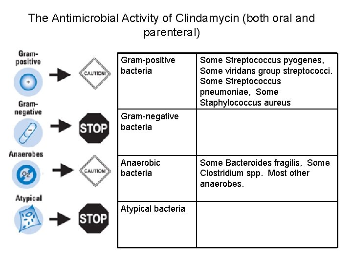 The Antimicrobial Activity of Clindamycin (both oral and parenteral) Gram-positive bacteria Some Streptococcus pyogenes,