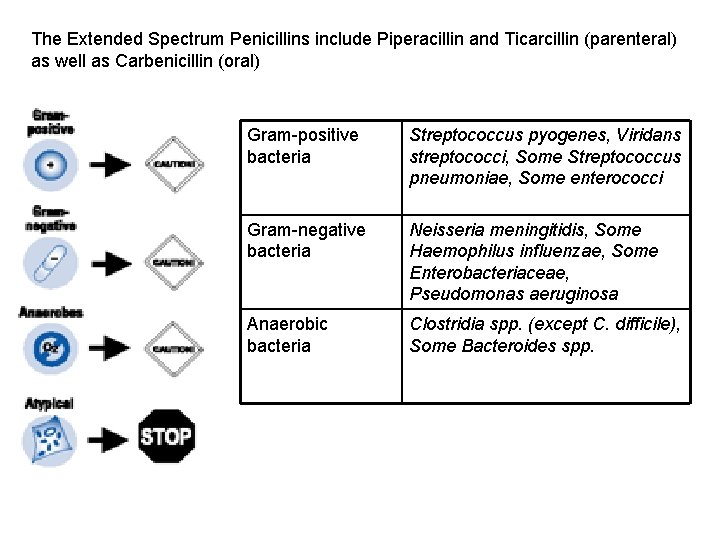 The Extended Spectrum Penicillins include Piperacillin and Ticarcillin (parenteral) as well as Carbenicillin (oral)