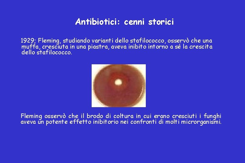 Antibiotici: cenni storici 1929; Fleming, studiando varianti dello stafilococco, osservò che una muffa, cresciuta
