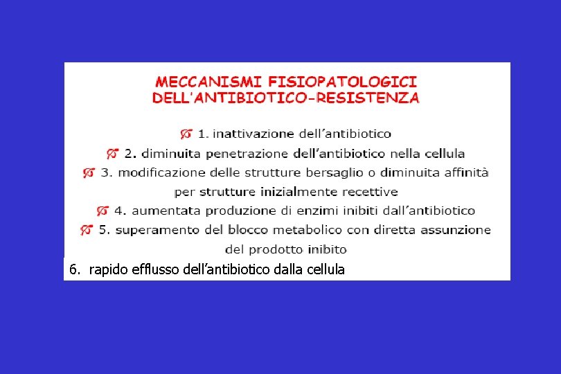 6. rapido efflusso dell’antibiotico dalla cellula 