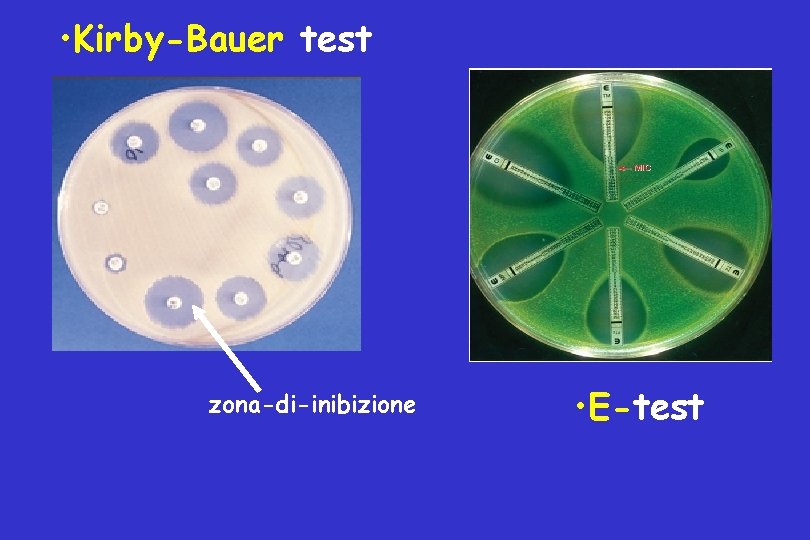  • Kirby-Bauer test zona-di-inibizione • E-test 