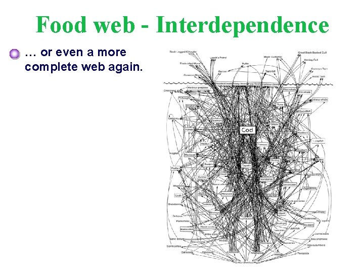 Food web - Interdependence … or even a more complete web again. 