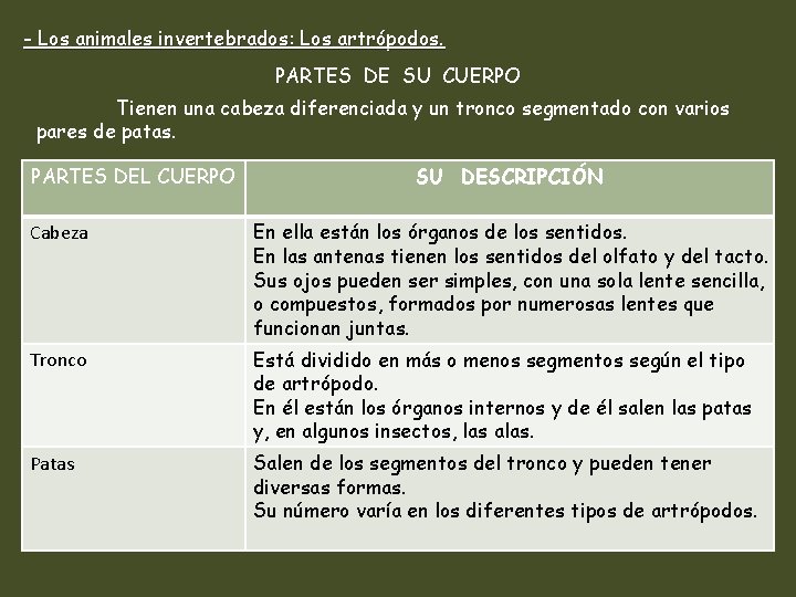 - Los animales invertebrados: Los artrópodos. PARTES DE SU CUERPO Tienen una cabeza diferenciada