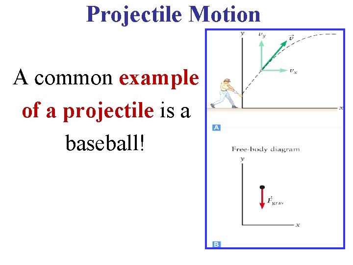 Projectile Motion A common example of a projectile is a baseball! 