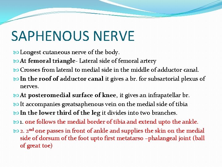 SAPHENOUS NERVE Longest cutaneous nerve of the body. At femoral triangle- Lateral side of