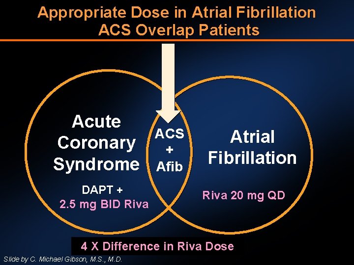 Appropriate Dose in Atrial Fibrillation ACS Overlap Patients Acute Coronary Syndrome DAPT + 2.