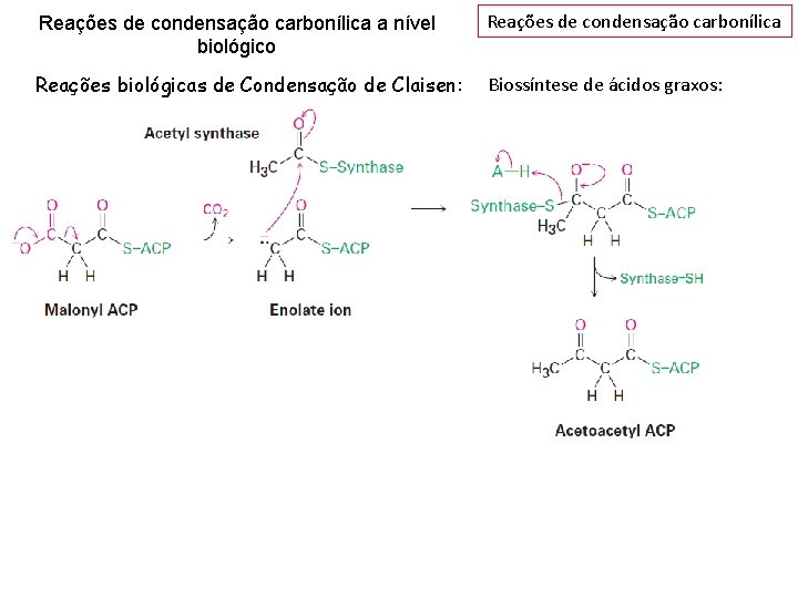 Reações de condensação carbonílica a nível biológico Reações de condensação carbonílica Reações biológicas de