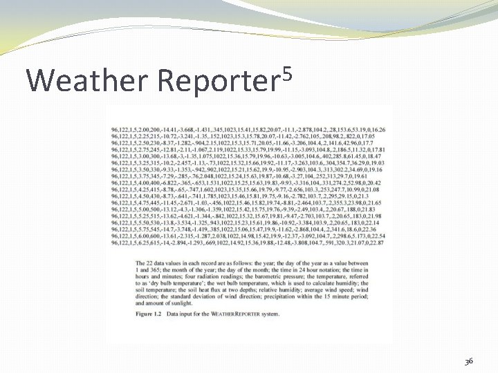 Weather 5 Reporter 36 