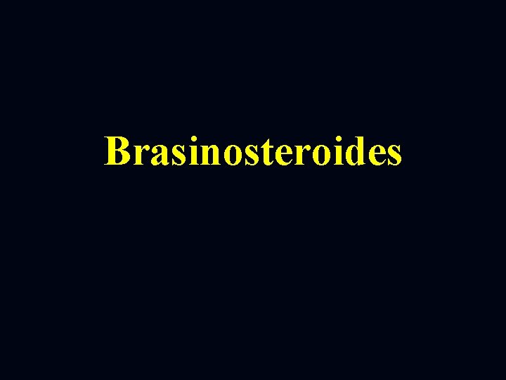 Brasinosteroides 