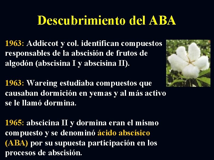 Descubrimiento del ABA 1963: Addiccot y col. identifican compuestos responsables de la abscisión de