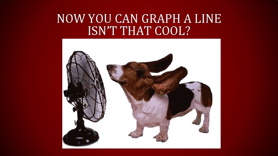 NOW YOU CAN GRAPH A LINE ISN’T THAT COOL?  NOW YOU CAN GRAPH A LINE ISN’T THAT COOL?