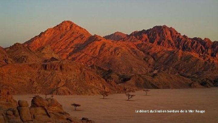 Le désert du Sinaï en bordure de la Mer Rouge 