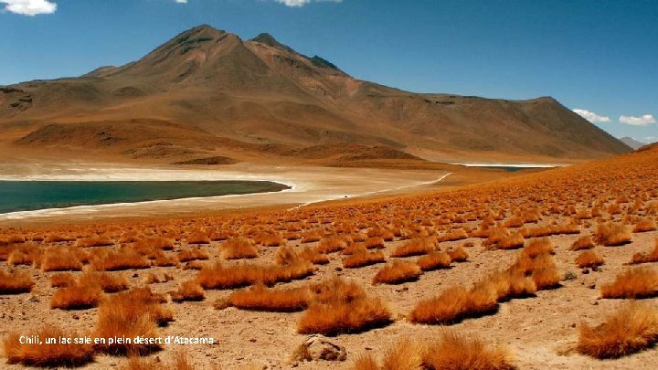 Chili, un lac salé en plein désert d’Atacama 