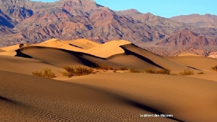 Le désert des Mojaves 