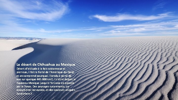 Le désert de Chihuahua au Mexique Désert d’altitude à la fois sablonneux et pierreux,