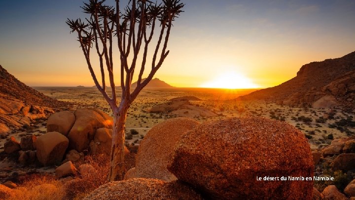 Le désert du Namib en Namibie 