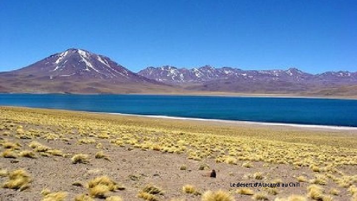 Le désert d’Atacama au Chili 