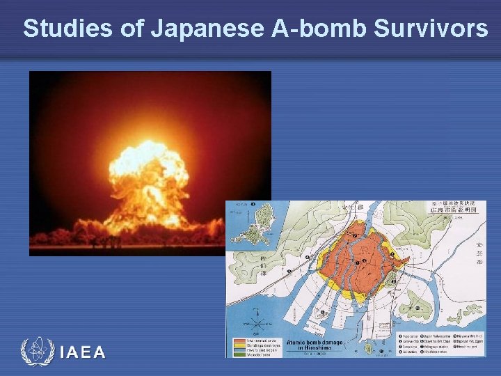 Studies of Japanese A-bomb Survivors 
