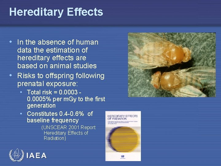 Hereditary Effects • In the absence of human data the estimation of hereditary effects