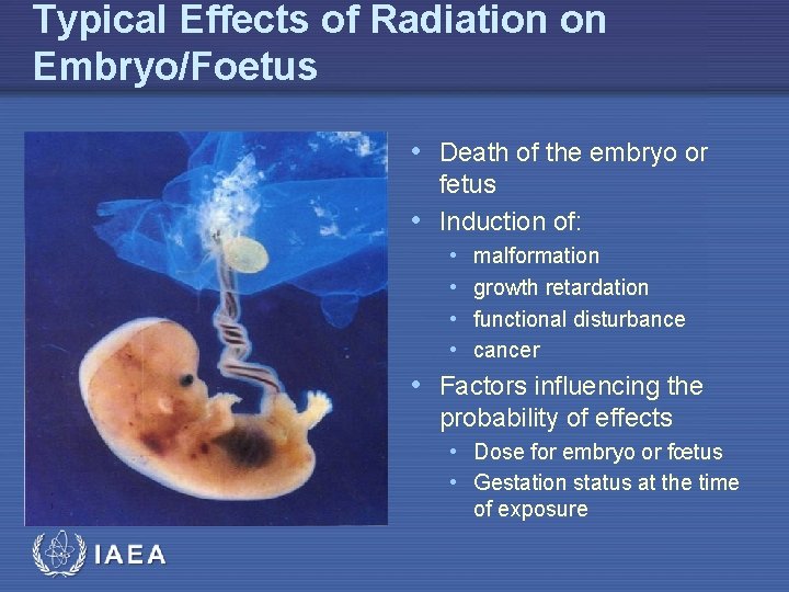 Typical Effects of Radiation on Embryo/Foetus • Death of the embryo or fetus •