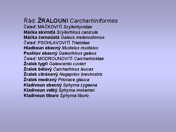 Řád: ŽRALOUNI Carcharhiniformes Čeleď: MÁČKOVITÍ Scyliorhynidae Máčka skvrnitá Scyliorhinus canicula Máčka černoústá Galeus melanostomus