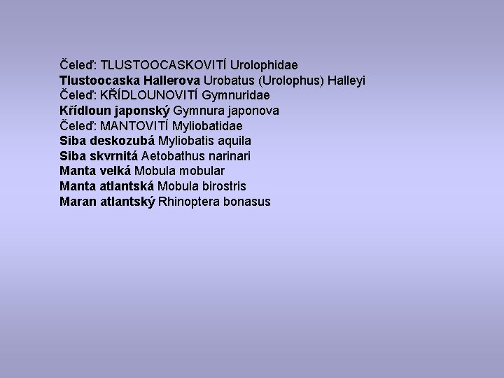 Čeleď: TLUSTOOCASKOVITÍ Urolophidae Tlustoocaska Hallerova Urobatus (Urolophus) Halleyi Čeleď: KŘÍDLOUNOVITÍ Gymnuridae Křídloun japonský Gymnura