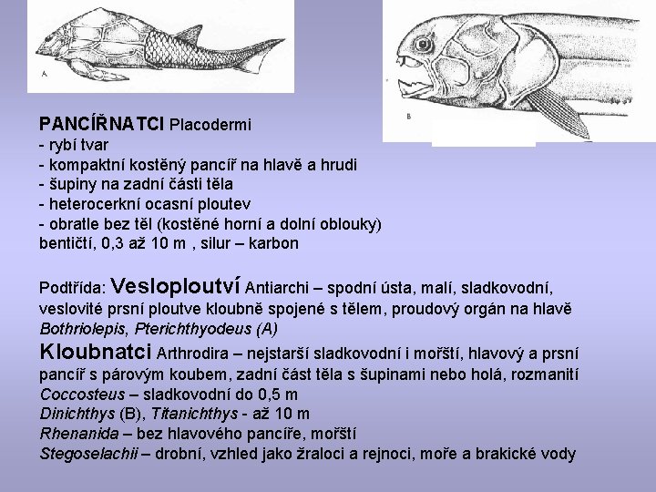 PANCÍŘNATCI Placodermi - rybí tvar - kompaktní kostěný pancíř na hlavě a hrudi -