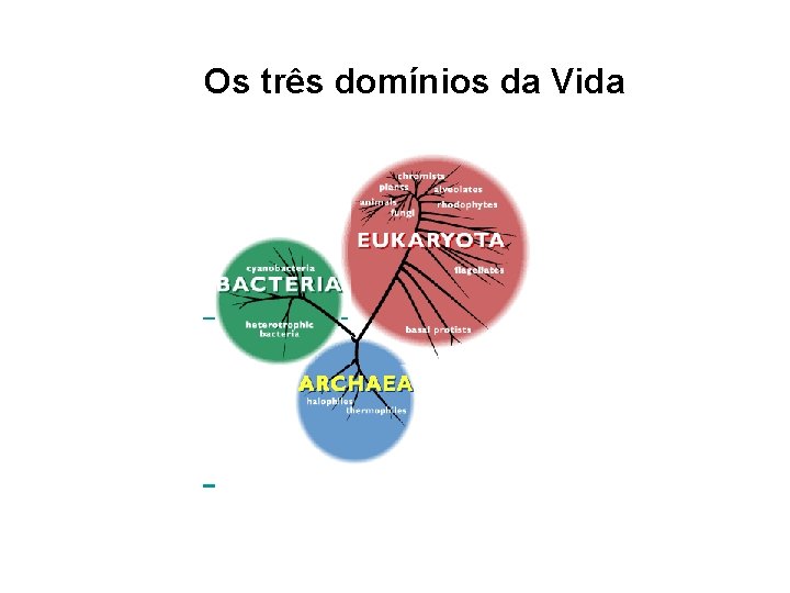 Os três domínios da Vida 