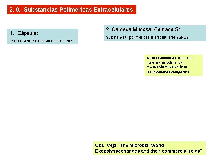 2. 9. Substâncias Poliméricas Extracelulares 1. Cápsula: Estrutura morfologicamente definida 2. Camada Mucosa, Camada